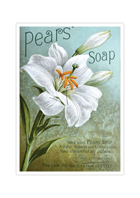 Dieses vintage Poster zeigt dir eine alte englische Seifenwerbung. Auf dem Bild siehst du eine weiße Blume untersetzt in grün und blau.