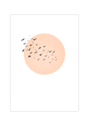 Dieses minimalistische Poster zeigt einen Vogelschwarm vor einer rosa oder einer grauen Sonne. 