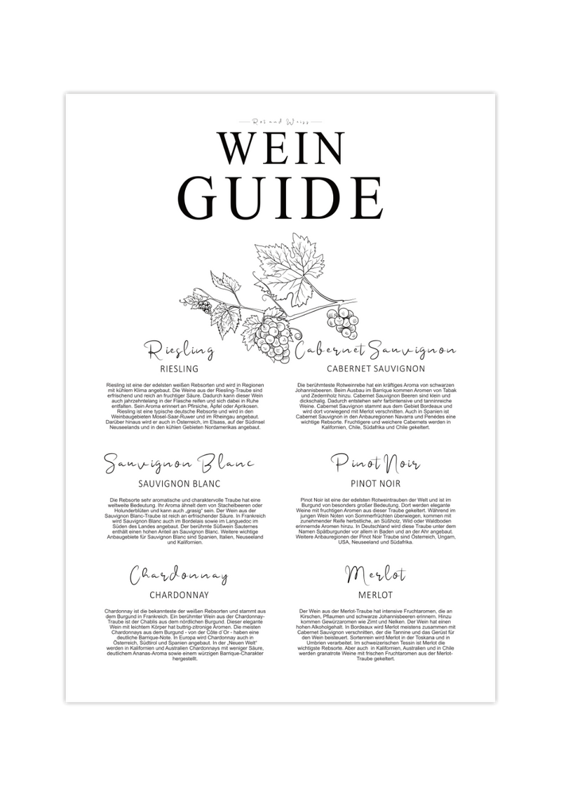 Das Poster zeigt dir einen Weinguide oder Weinführer in schwarz und weiß. Der Guide zeigt drei weiße Rebsorten (Riesling, Sauvignon Blanc, Chardonnay) und drei rote Rebsorten (Cabernet Sauvignon, Pinot Noir, Merlot).