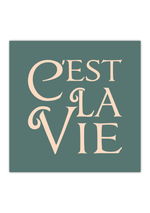 Das Poster zeigt in quadratischen Format und in verschiedenen vintage Farben den französichen Spruch "c'est la vie", was soviel bedeutet wie "so ist das Leben nun einmal". 